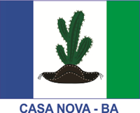 Bandeira Casa Nova BA Logo ,Logo , icon , SVG Bandeira Casa Nova BA Logo