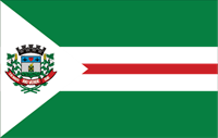 Bandeira do Município de Rio Verde Logo ,Logo , icon , SVG Bandeira do Município de Rio Verde Logo