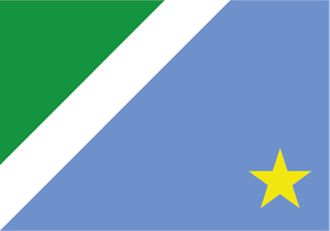 Bandeira Mato Grosso do Sul Logo ,Logo , icon , SVG Bandeira Mato Grosso do Sul Logo