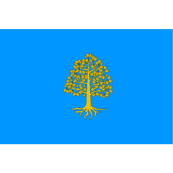 Bandera del Rourell