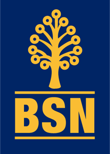 bank simpanan nasional Logo ,Logo , icon , SVG bank simpanan nasional Logo