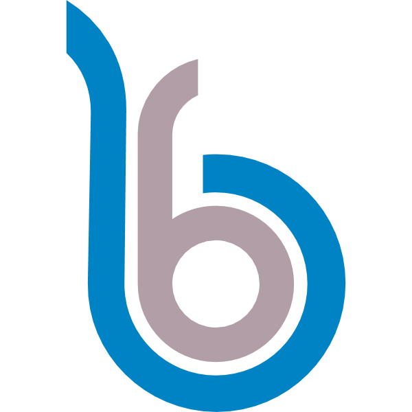 Bayburt Grup Özel İdare Gençlik Spor Logo ,Logo , icon , SVG Bayburt Grup Özel İdare Gençlik Spor Logo