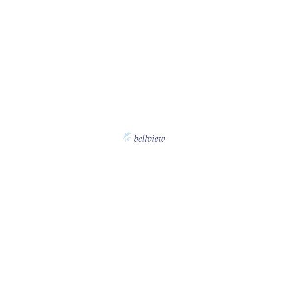 Bellview Airlines Logo