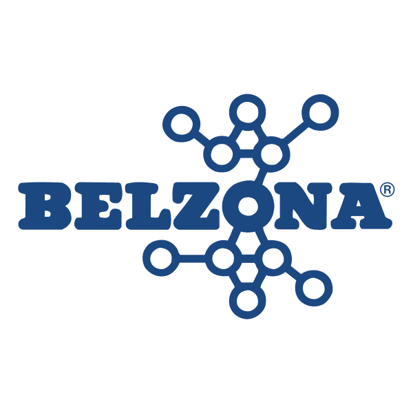 Belzona 81225