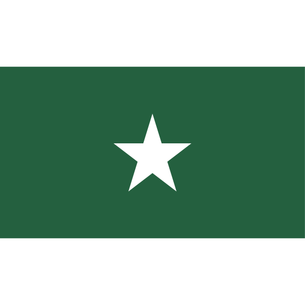 BERJASA-flag