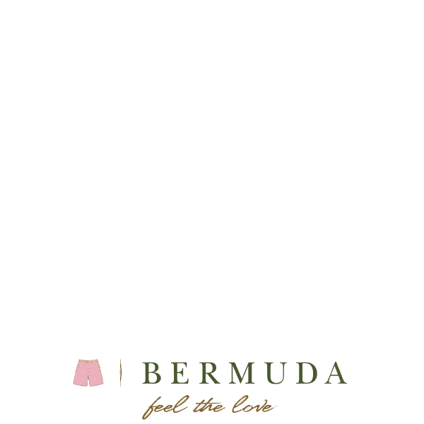 BermudaLogo_Horiz_brown Logo ,Logo , icon , SVG BermudaLogo_Horiz_brown Logo