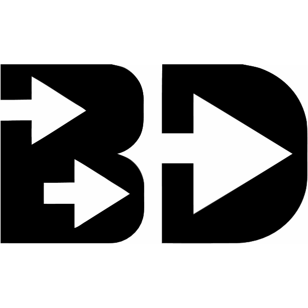 Best Direction, LLC Logo