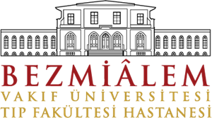 Bezmialem Vakıf Üniversitesi Logo ,Logo , icon , SVG Bezmialem Vakıf Üniversitesi Logo