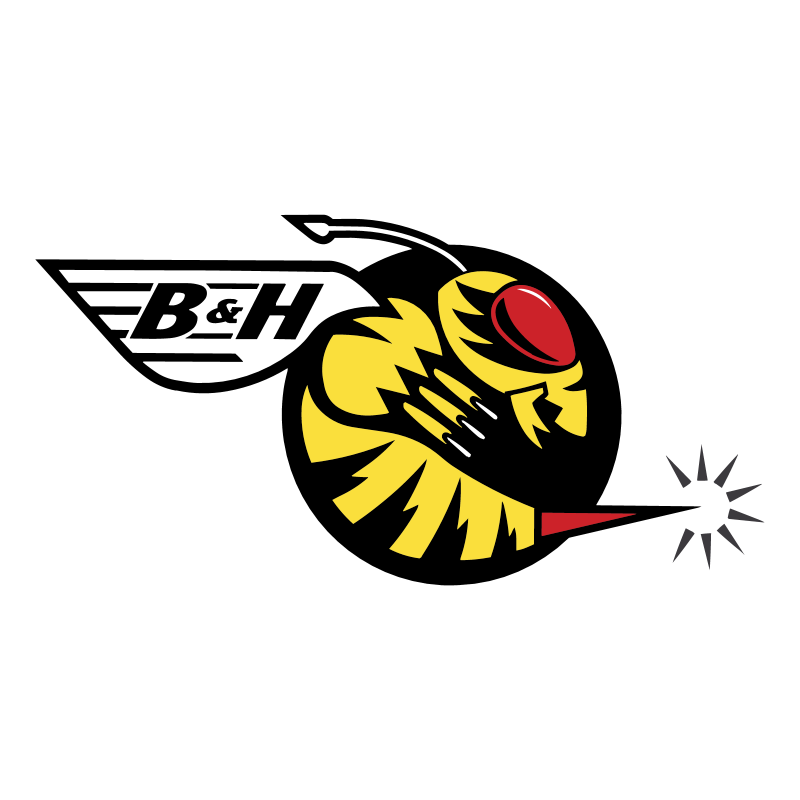 B&H Jordan ,Logo , icon , SVG B&H Jordan