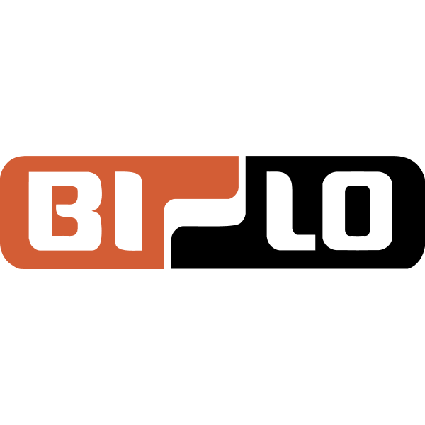 BI LO STORES 1