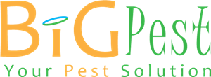 BIG PEST Logo