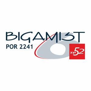 Bigamist Logo