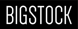 Bigstock Logo