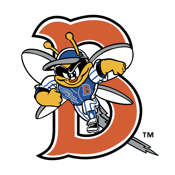 Binghamton Mets 58217