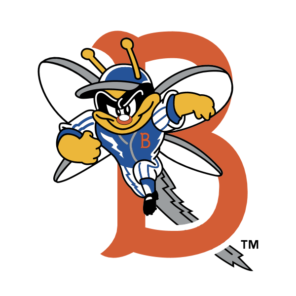 Binghamton Mets 58218