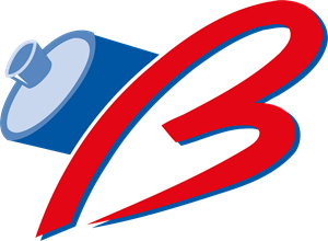 Birikim Pilleri Logo
