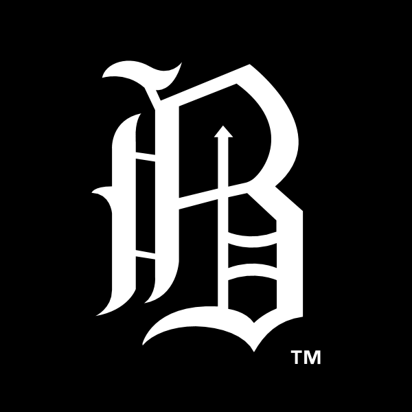 Birmingham Barons 58261