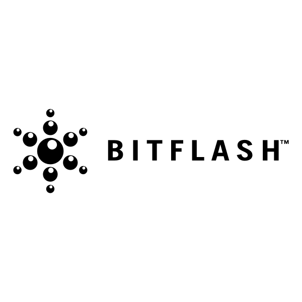 BitFlash 43453