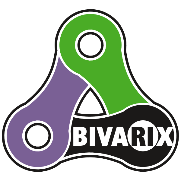 Bivarix Logo ,Logo , icon , SVG Bivarix Logo