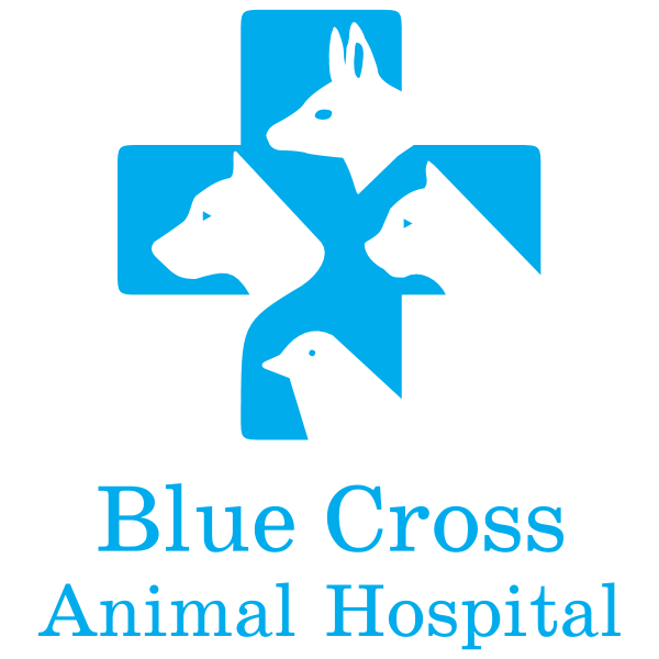 Blue Cross Animal Hospital 5733