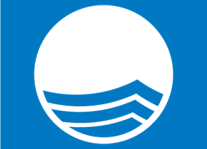 Blue Flag Logo ,Logo , icon , SVG Blue Flag Logo