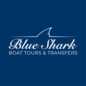 BLUE SHARK TOURS Logo ,Logo , icon , SVG BLUE SHARK TOURS Logo