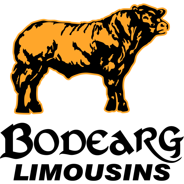 Bodearg Limousins Logo