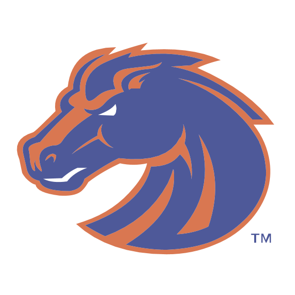 Boise State Broncos 76002