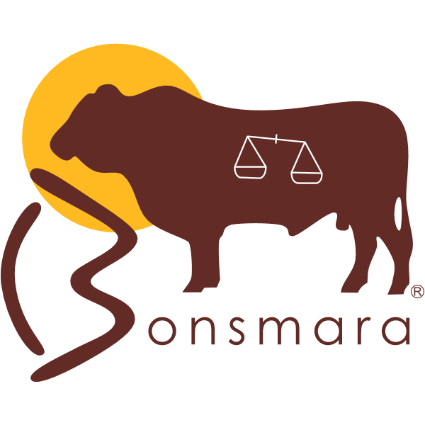 Bonsmara SA Logo ,Logo , icon , SVG Bonsmara SA Logo