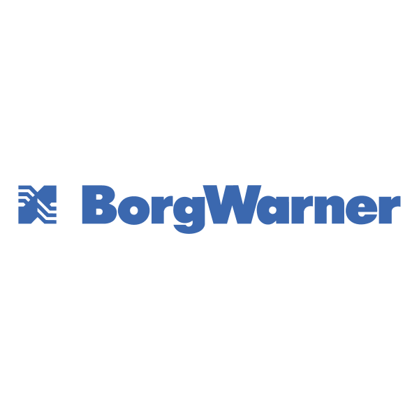 BorgWarner 45325