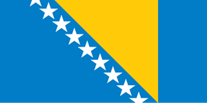 Bosnia and Herzegovina flag Logo