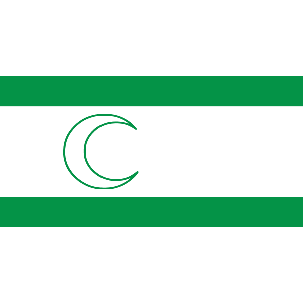 BOSNIAK FLAG Logo