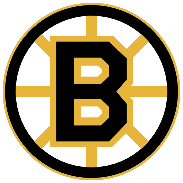 Boston Bruins 20497