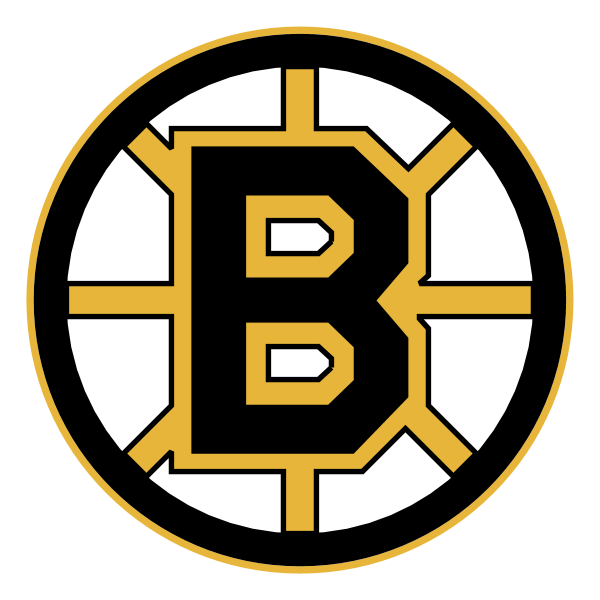 Boston Bruins 76875