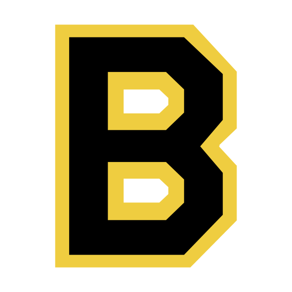 Boston Bruins 76876