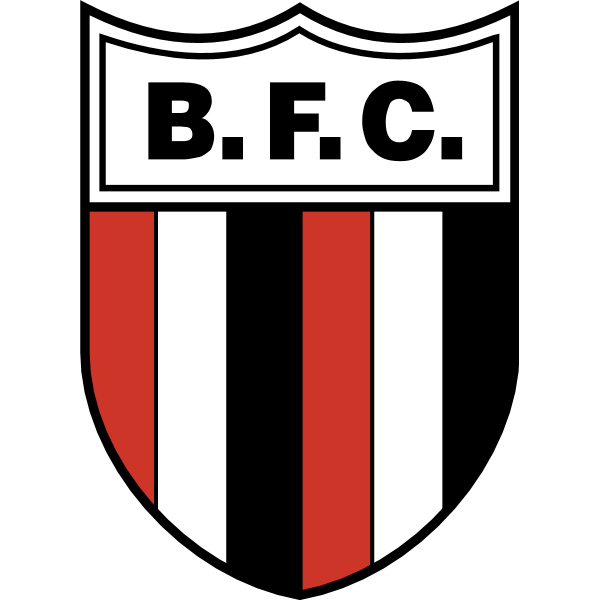 botafogo fc