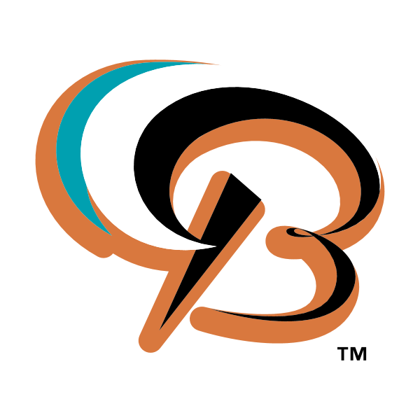 Bowie Baysox 58221