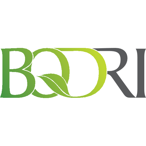 BQDRI Logo ,Logo , icon , SVG BQDRI Logo
