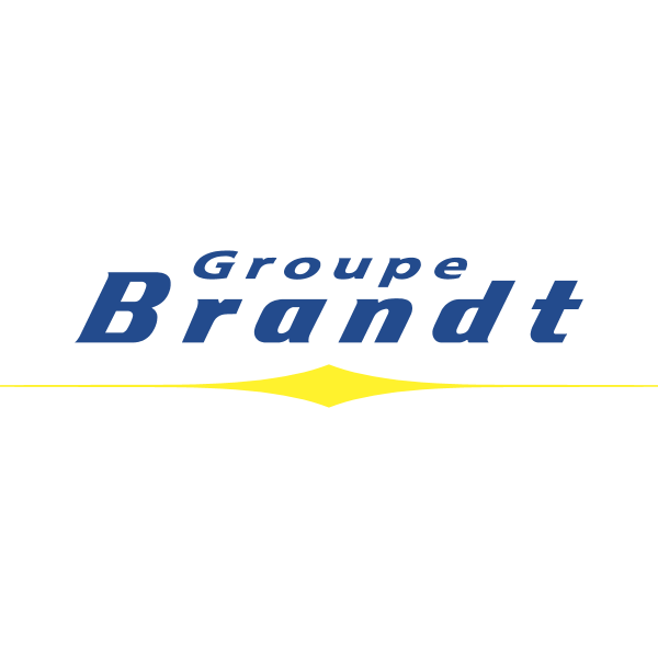 Brandt Group logo