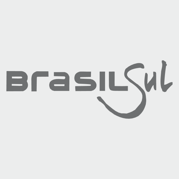 Brasil Sul Linhas Rodoviárias Logo