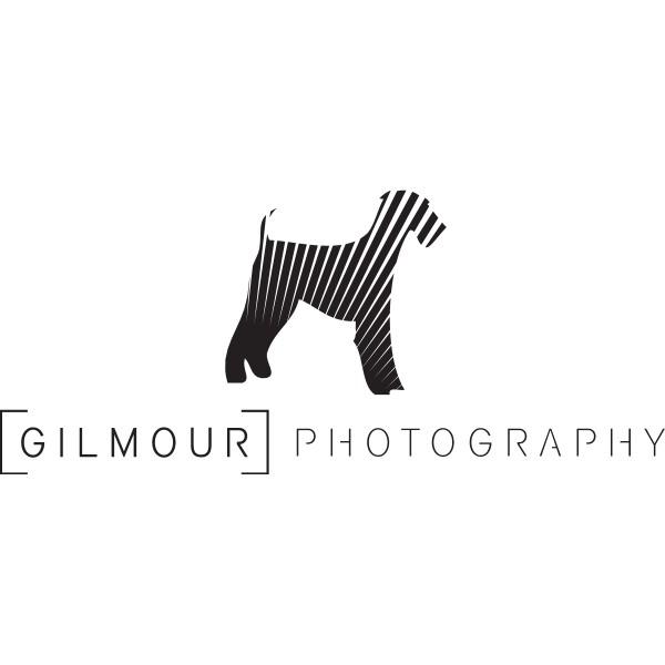Brett Gilmour Photography Logo ,Logo , icon , SVG Brett Gilmour Photography Logo