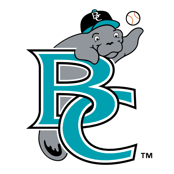 Brevard County Manatees 58405