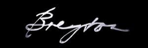 Breyton Logo