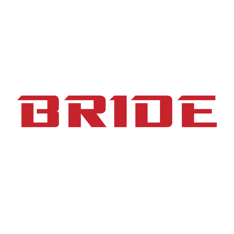 Bride ,Logo , icon , SVG Bride