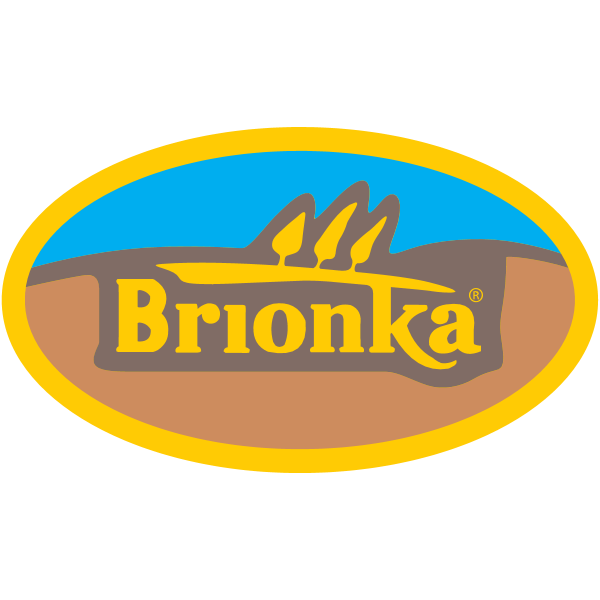 BRIONKA Logo ,Logo , icon , SVG BRIONKA Logo