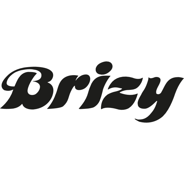Brizy Logo ,Logo , icon , SVG Brizy Logo