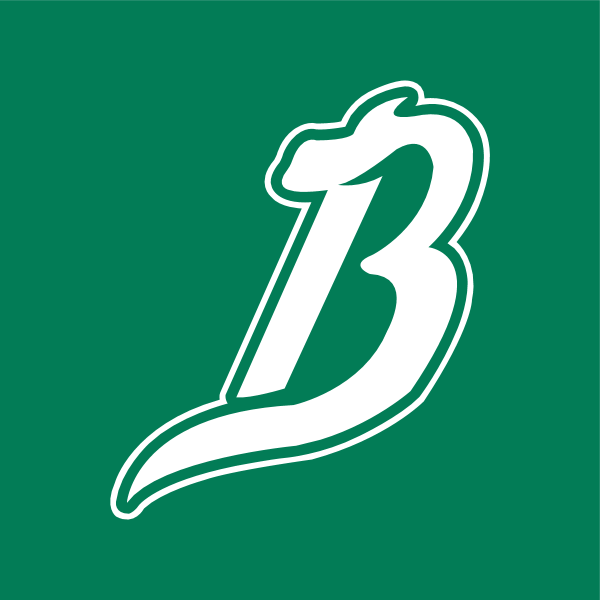 Broncos de Reynosa Logo ,Logo , icon , SVG Broncos de Reynosa Logo