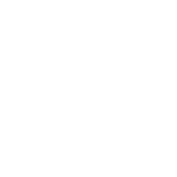 Bruun Rasmussen logo