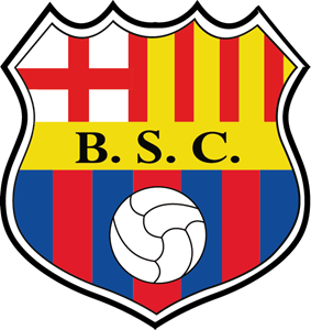 BSC Logo ,Logo , icon , SVG BSC Logo