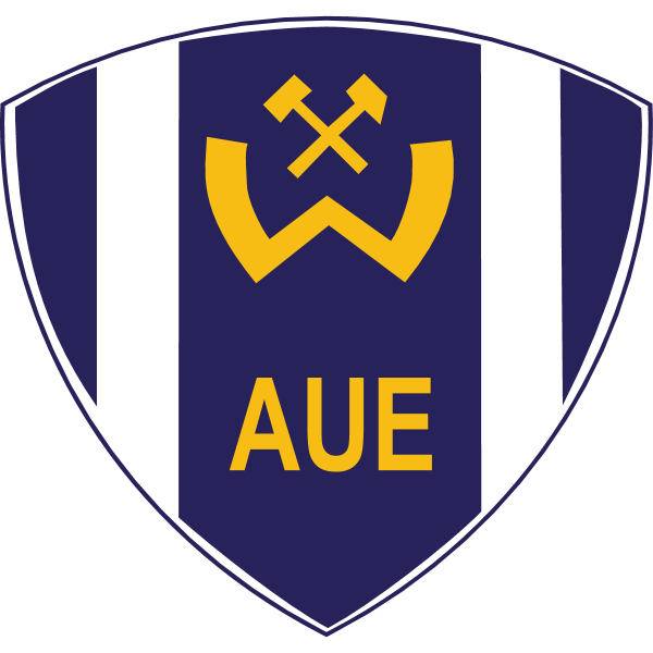 BSG Wismut Aue 2019